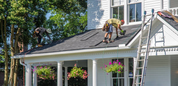 Best Roof Ventilation Installation  in Wliamsvle, IL